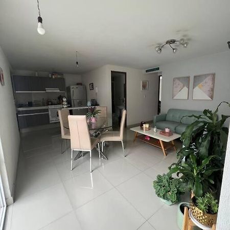 Departamento En Coyoacan Mexico Extérieur photo